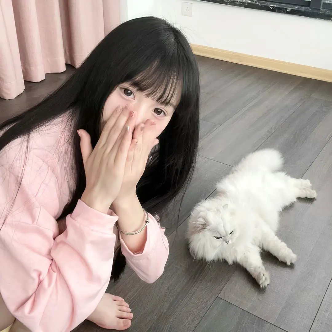 战舰育婴记