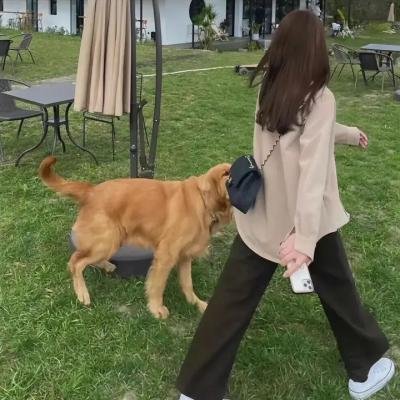 达利博尔